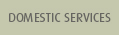 Domestic Services